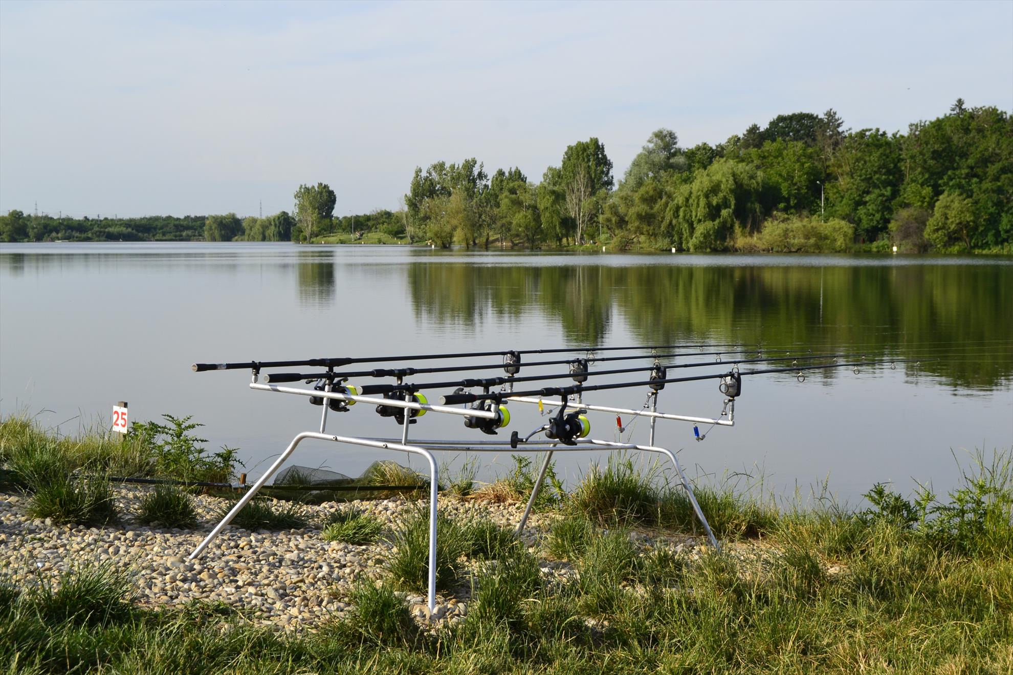 2015 - Cupa Navitas 08.06.2015